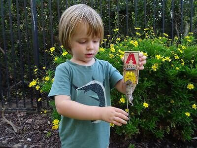 Des Moines pest control